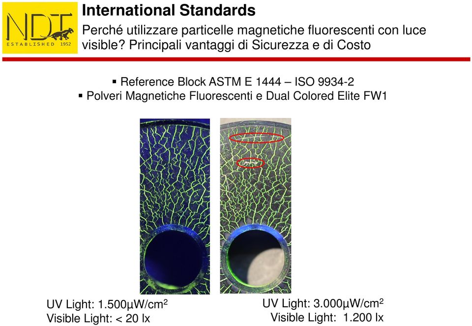 Principali vantaggi di Sicurezza e di Costo Reference Block ASTM E 1444 ISO