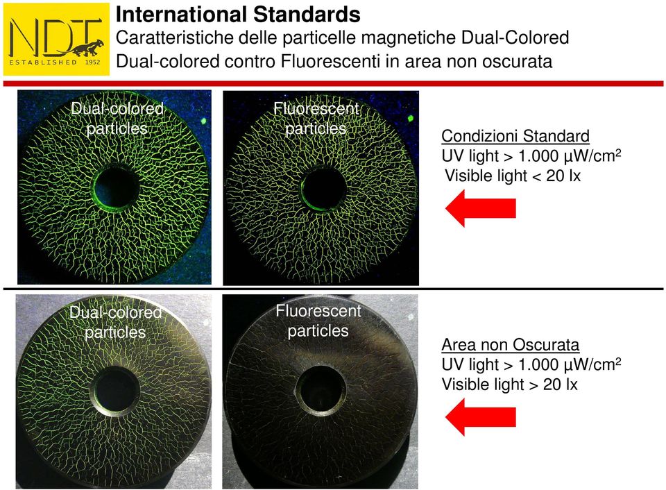 particles Dual-colored particles Fluorescent particles Condizioni Standard UV light > 1.