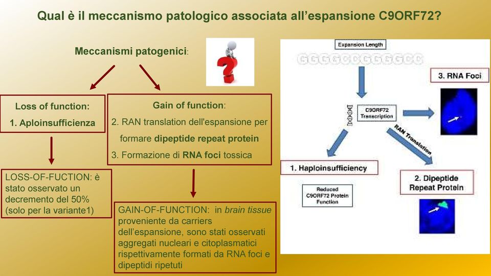 RAN translation dell'espansione per formare dipeptide repeat protein 3.