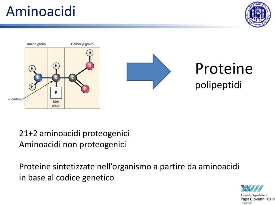 proteogenici Proteine sintetizzate nell