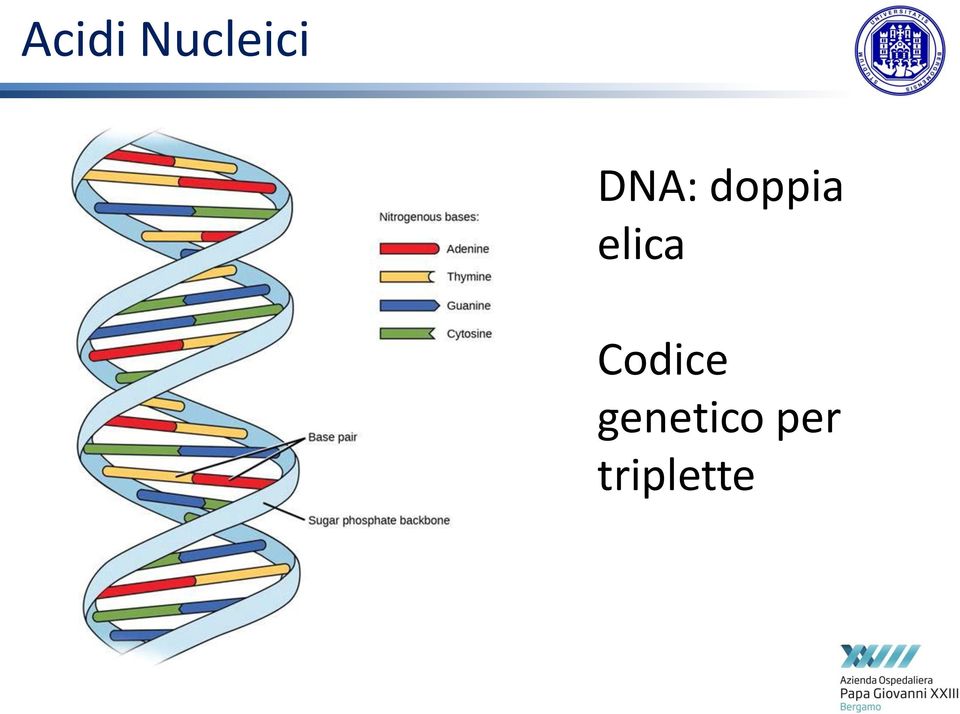 elica Codice