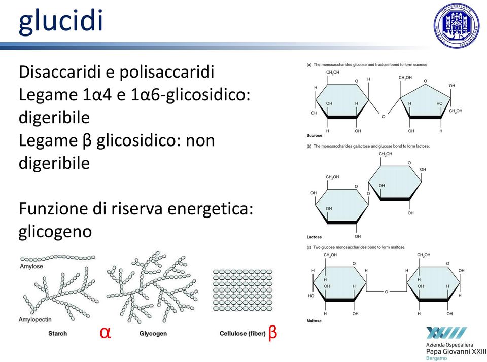 digeribile Legame β glicosidico: non