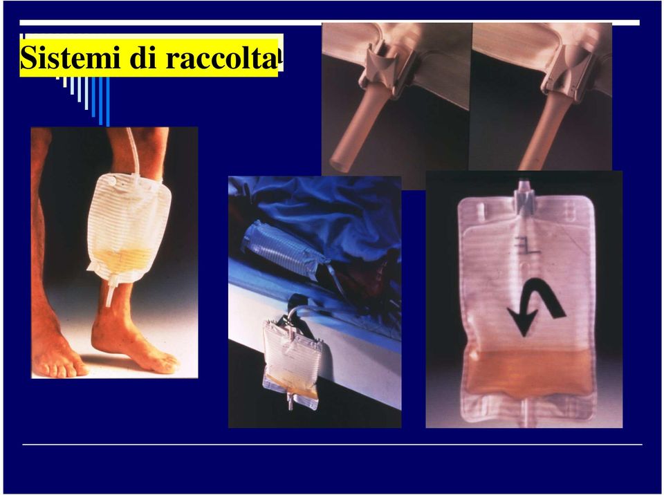 raccolta 