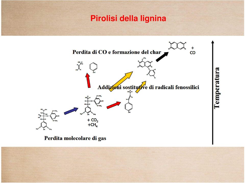 lignina