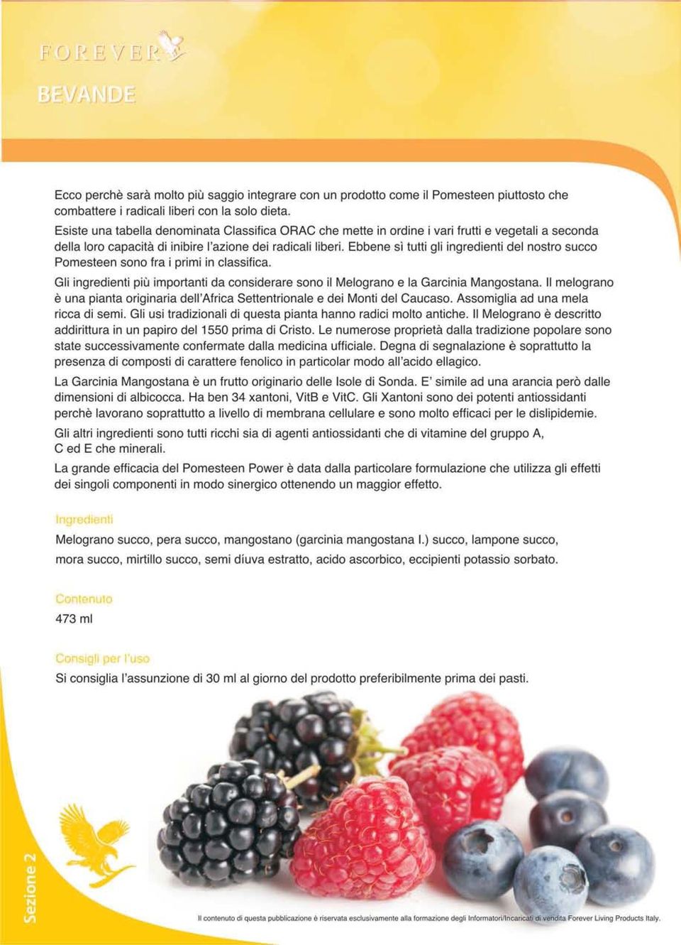 Ebbene sì tutti gli ingredienti del nostro succo Pomesteen sono fra i primi in classifica. Gli ingredienti più importanti da considerare sono il Melagrana e la Garcinia Mangostana.