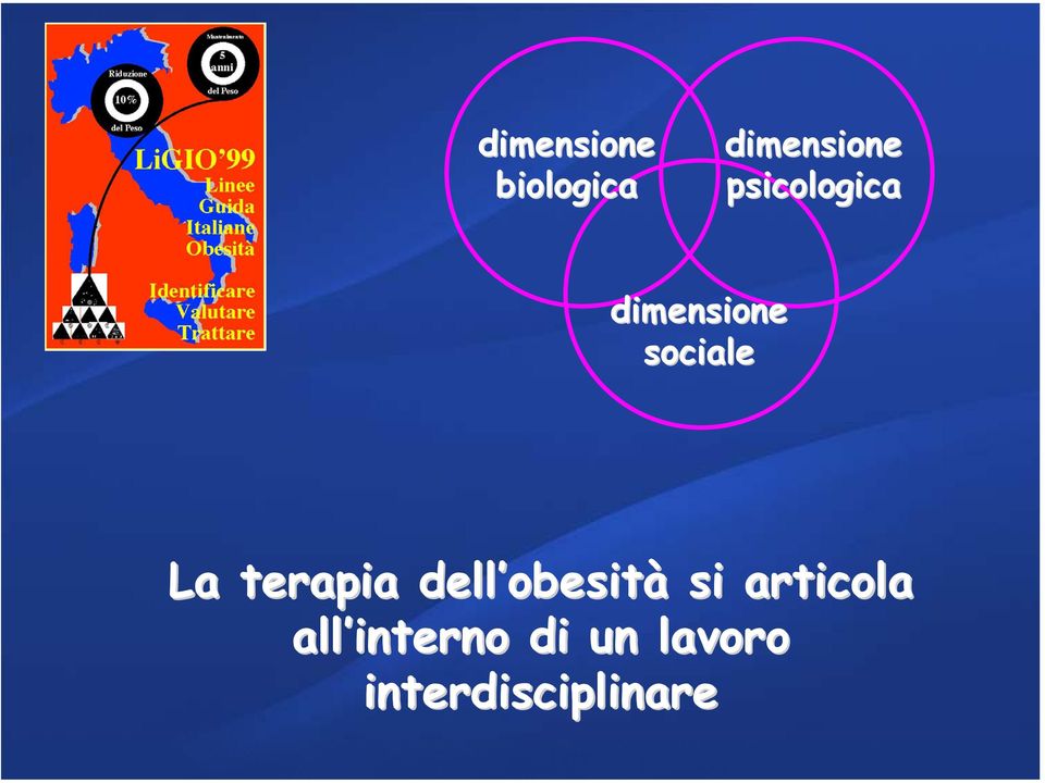 terapia dell obesit obesità si