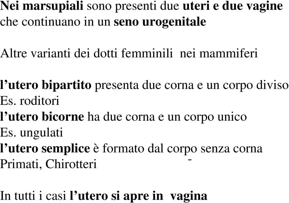 corpo diviso Es. roditori l utero bicorne ha due corna e un corpo unico Es.