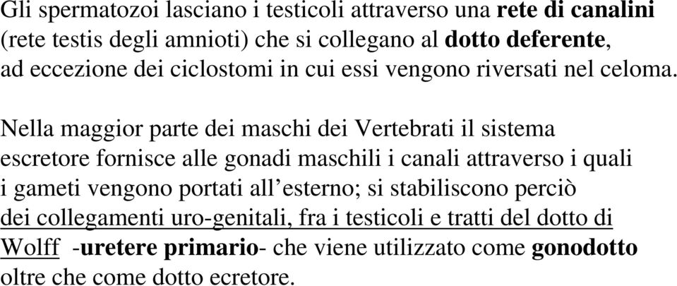 Nella maggior parte dei maschi dei Vertebrati il sistema escretore fornisce alle gonadi maschili i canali attraverso i quali i gameti