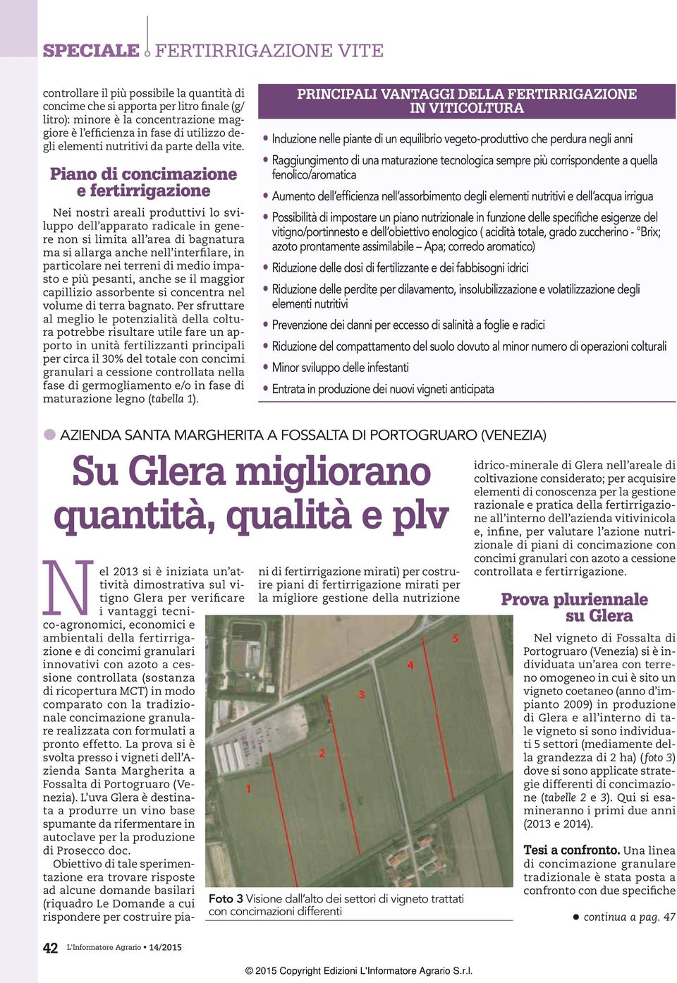 Piano di concimazione e fertirrigazione Nei nostri areali produttivi lo sviluppo dell apparato radicale in genere non si limita all area di bagnatura ma si allarga anche nell interfilare, in