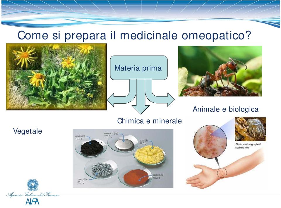 Materia prima Vegetale