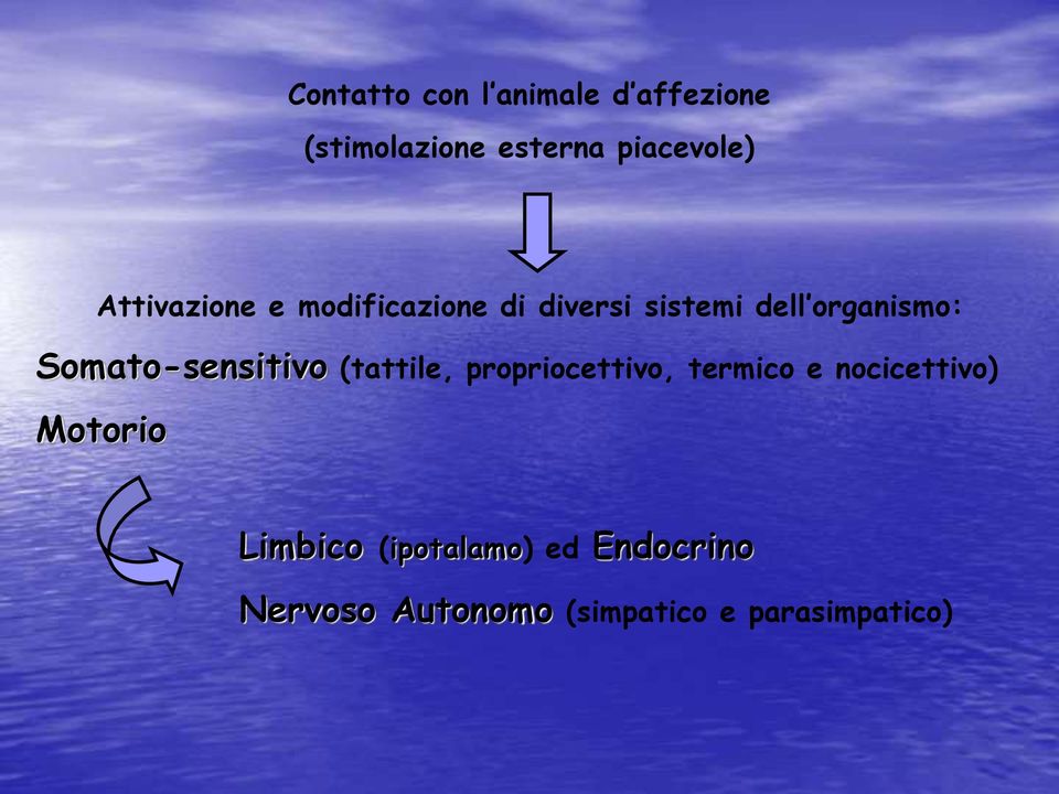 Somato-sensitivo (tattile, propriocettivo, termico e nocicettivo)