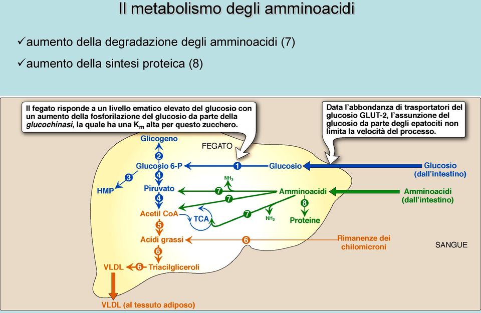 degradazione degli