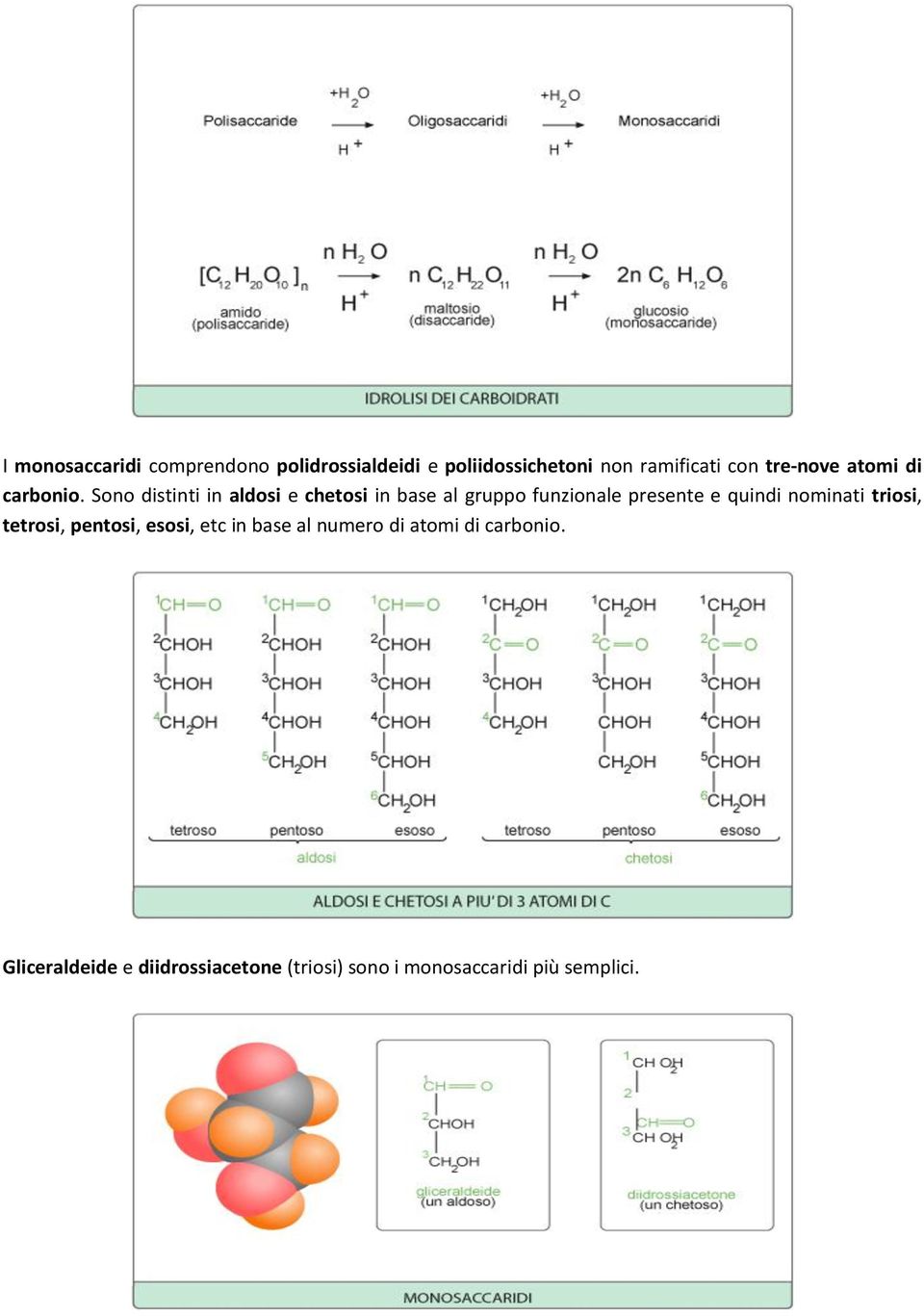 Sono distinti in aldosi e chetosi in base al gruppo funzionale presente e quindi