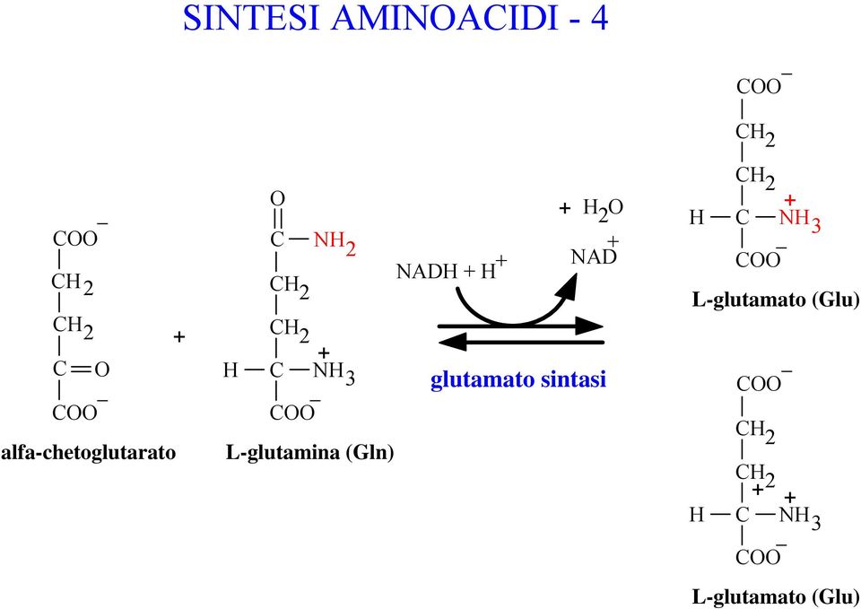 L-glutamina (Gln) AD AD glutamato