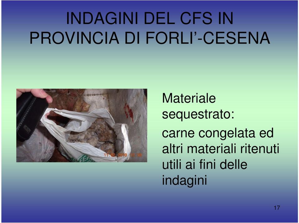 carne congelata ed altri materiali