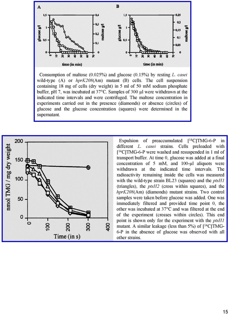 Samples of 300 µl were withdrawn at the indicated time intervals and were centrifuged.