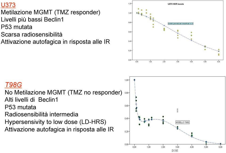 MGMT (TMZ no responder) Alti livelli di Beclin1 P53 mutata Radiosensibilità