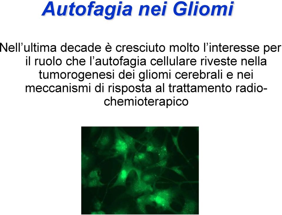 cellulare riveste nella tumorogenesi dei gliomi