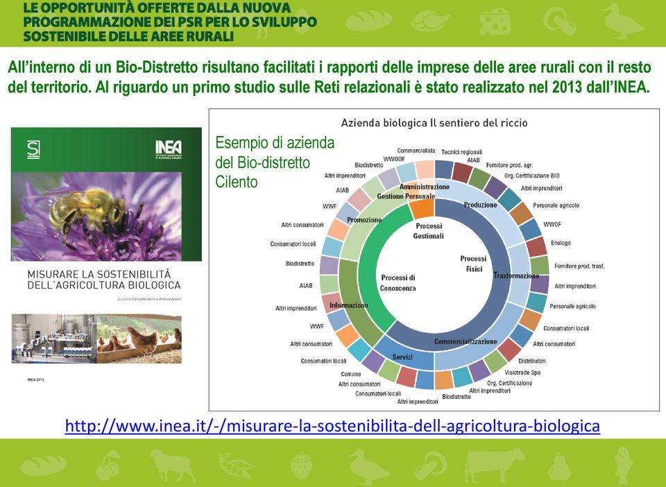 Al riguardo un primo studio sulle Reti relazionali è stato realizzato nel 2013 dall