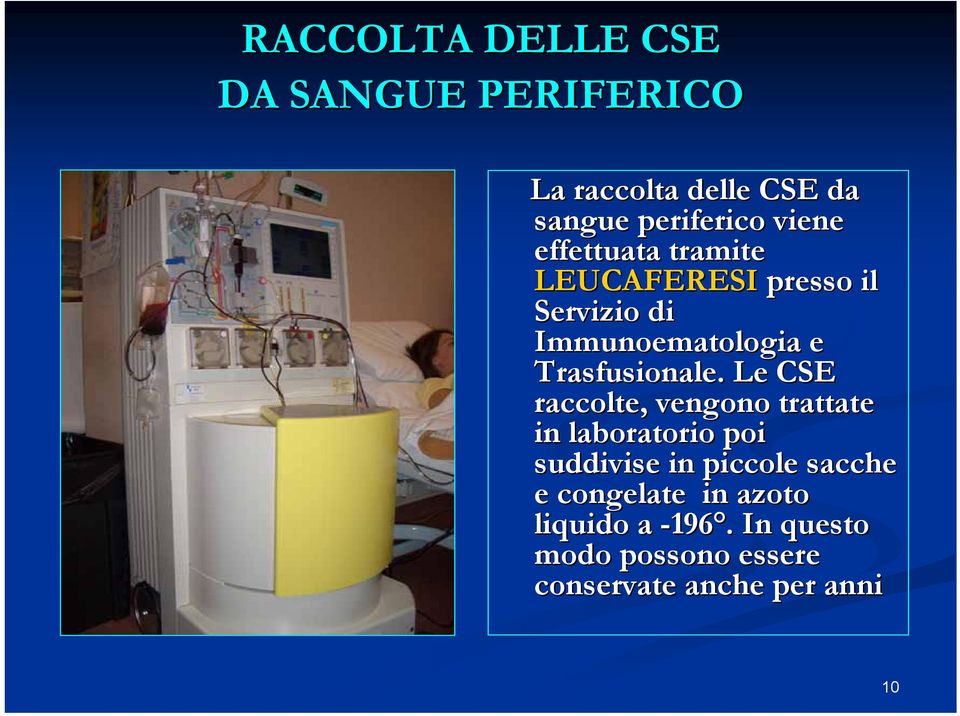 Le CSE raccolte, vengono trattate in laboratorio poi suddivise in piccole sacche e