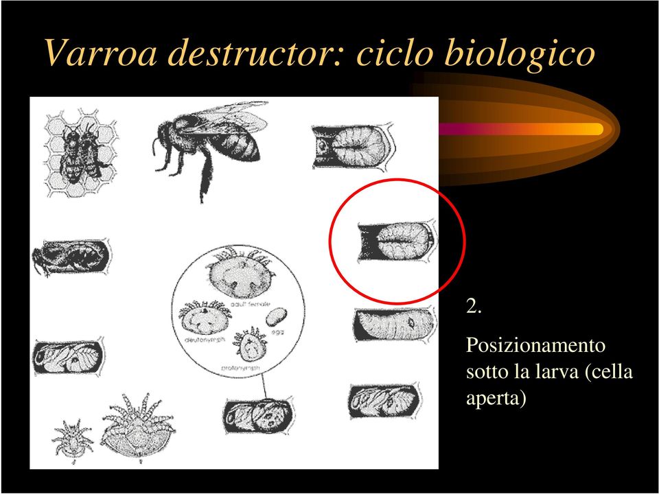 Posizionamento sotto