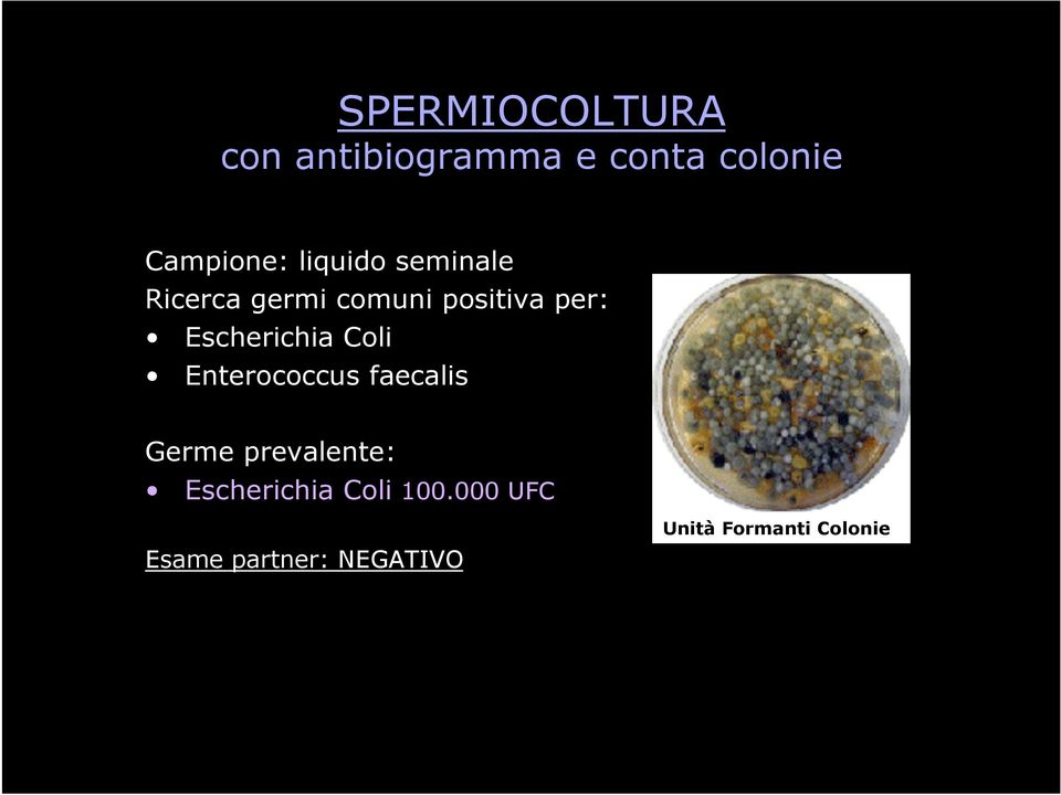 Escherichia Coli Enterococcus faecalis Germe prevalente: