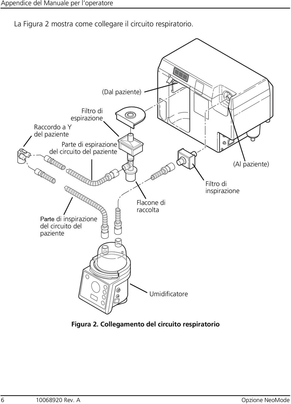 circuito del paziente (Al paziente) Parte di inspirazione del circuito del paziente Flacone