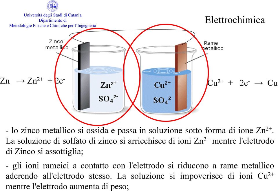 La soluzione di solfato di zinco si arricchisce di ioni Zn 2+ mentre l'elettrodo di Zinco si