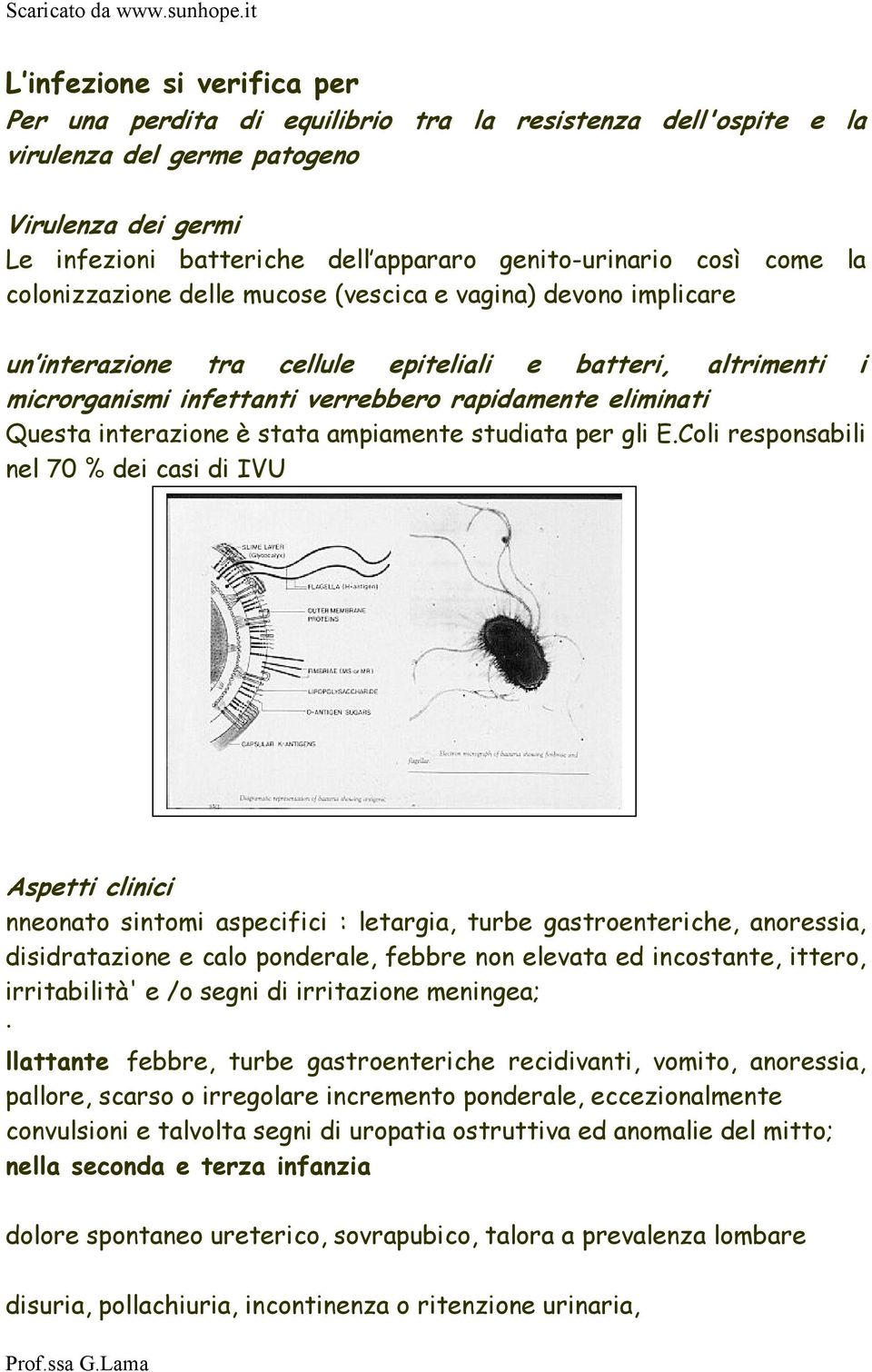 Questa interazione è stata ampiamente studiata per gli E.