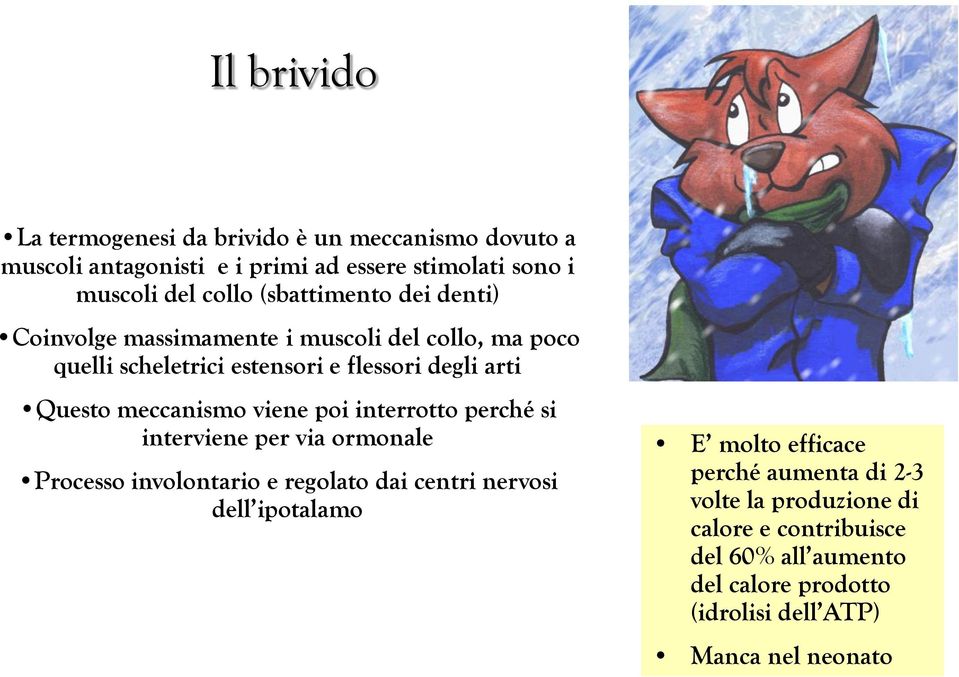 meccanismo viene poi interrotto perché si interviene per via ormonale Processo involontario e regolato dai centri nervosi dell ipotalamo E