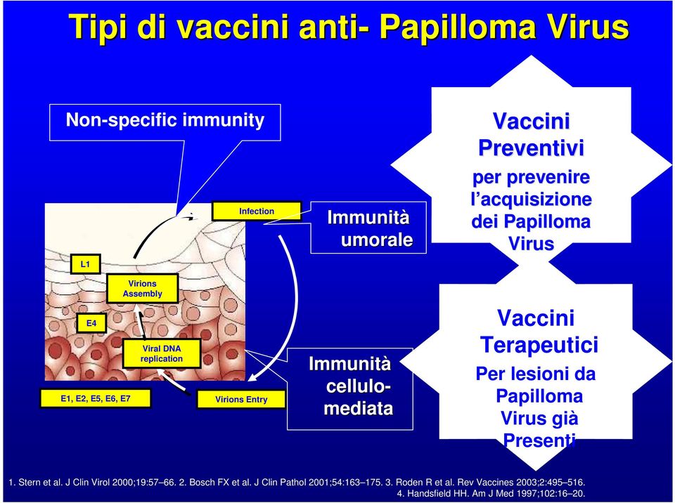 Virus Vaccini Terapeutici Per lesioni da Papilloma Virus già Presenti 1. Stern et al. J Clin Virol 2000;19:57 66. 2. Bosch FX et al.