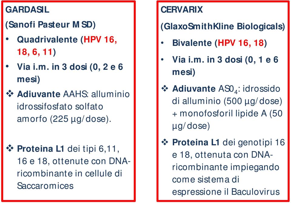 Proteina L1 dei tipi 6,11, 16 e 18, ottenute con DNAricombinante in cellule di Saccaromices CERVARIX (GlaxoSmithKline Biologicals) Bivalente