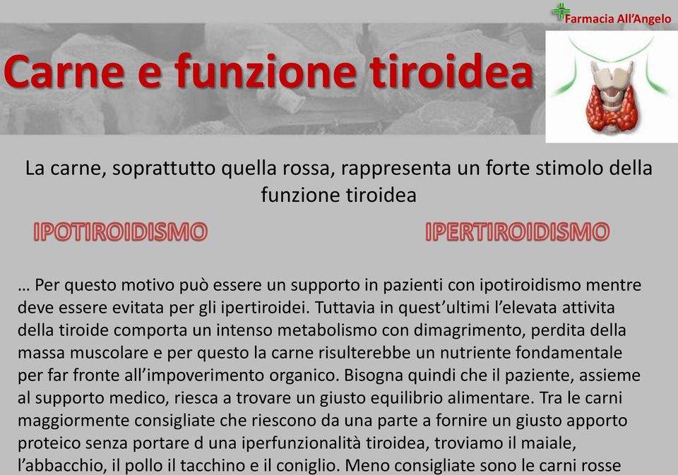 Tuttavia in quest ultimi l elevata attivita della tiroide comporta un intenso metabolismo con dimagrimento, perdita della massa muscolare e per questo la carne risulterebbe un nutriente fondamentale