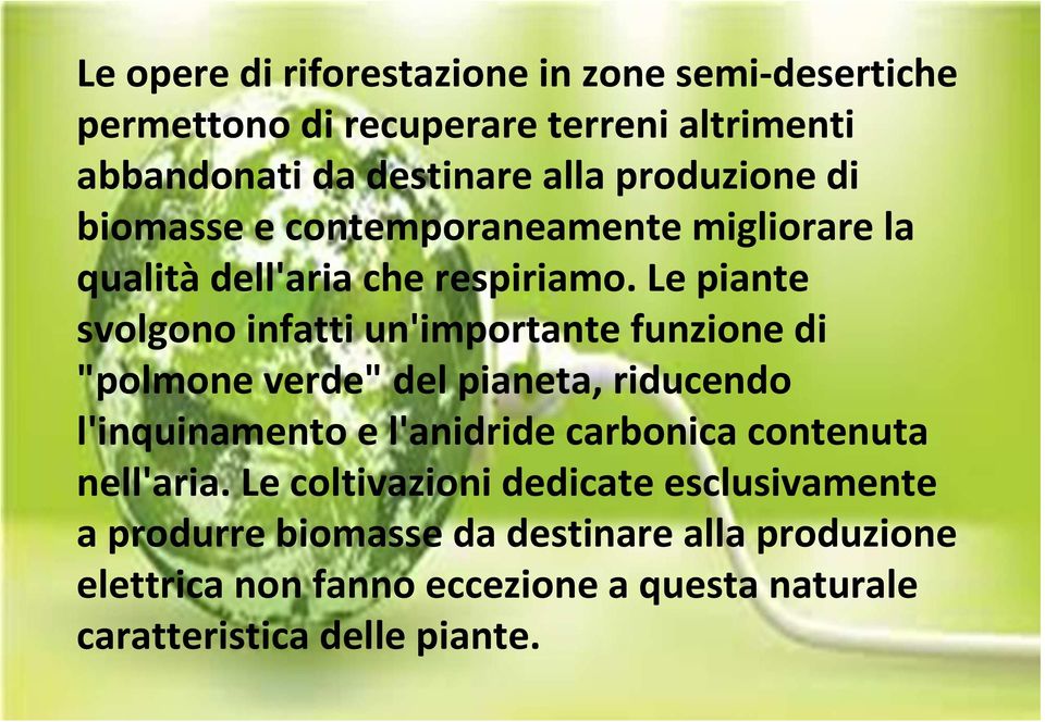 Le piante svolgono infatti un'importante funzione di "polmone verde" del pianeta, riducendo l'inquinamento e l'anidride carbonica