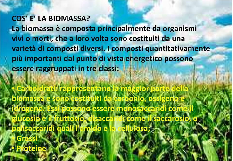 I composti quantitativamente piùimportanti dal punto di vista energetico possono essere raggruppati in tre classi: Carboidrati: