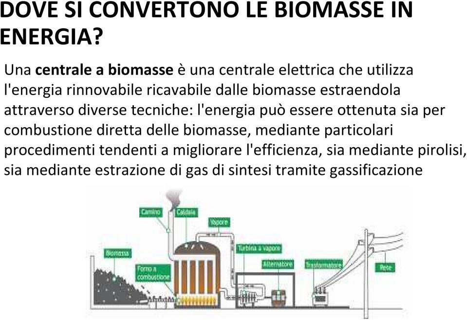 biomasse estraendola attraverso diverse tecniche: l'energia può essere ottenuta sia per combustione