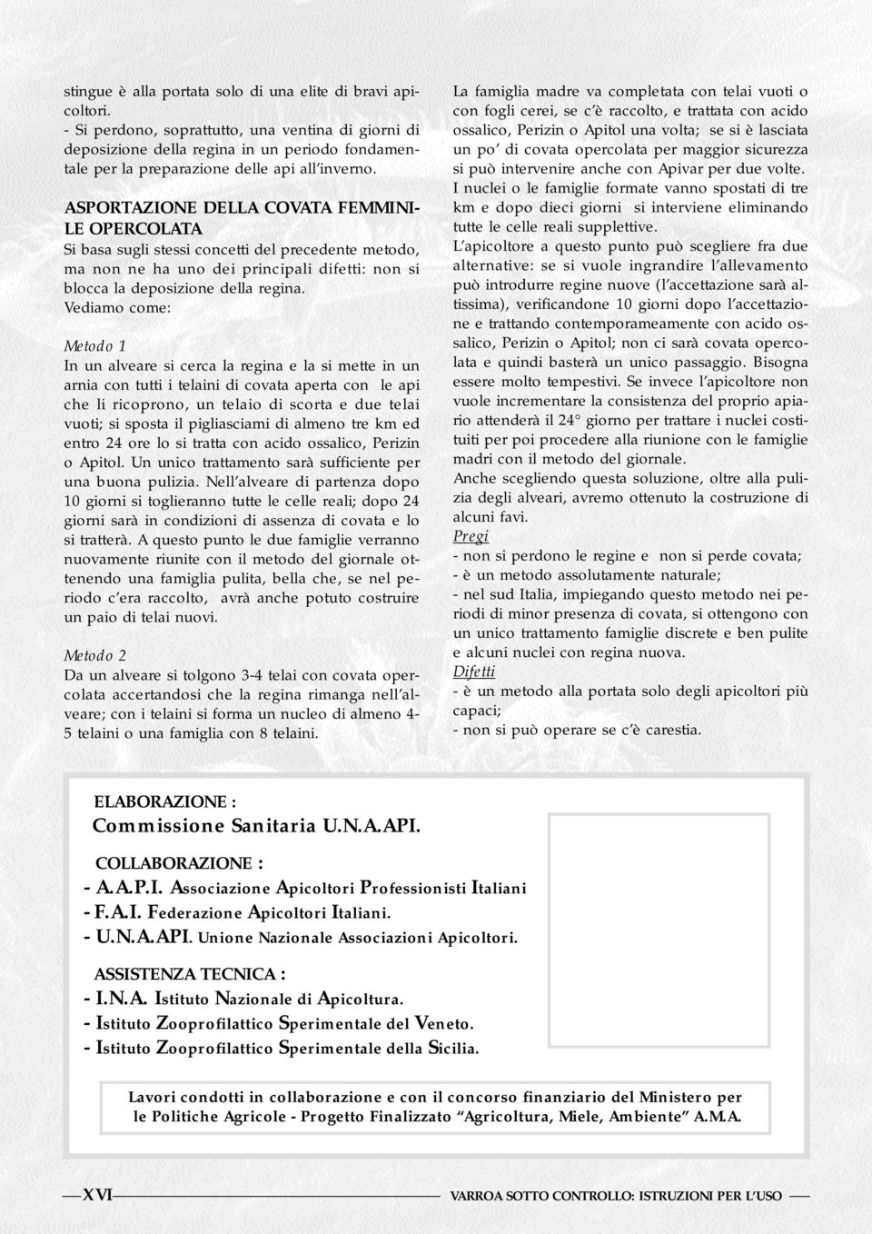 ASPORTAZIONE DELLA COVATA FEMMINI- LE OPERCOLATA Si basa sugli stessi concetti del precedente metodo, ma non ne ha uno dei principali difetti: non si blocca la deposizione della regina.