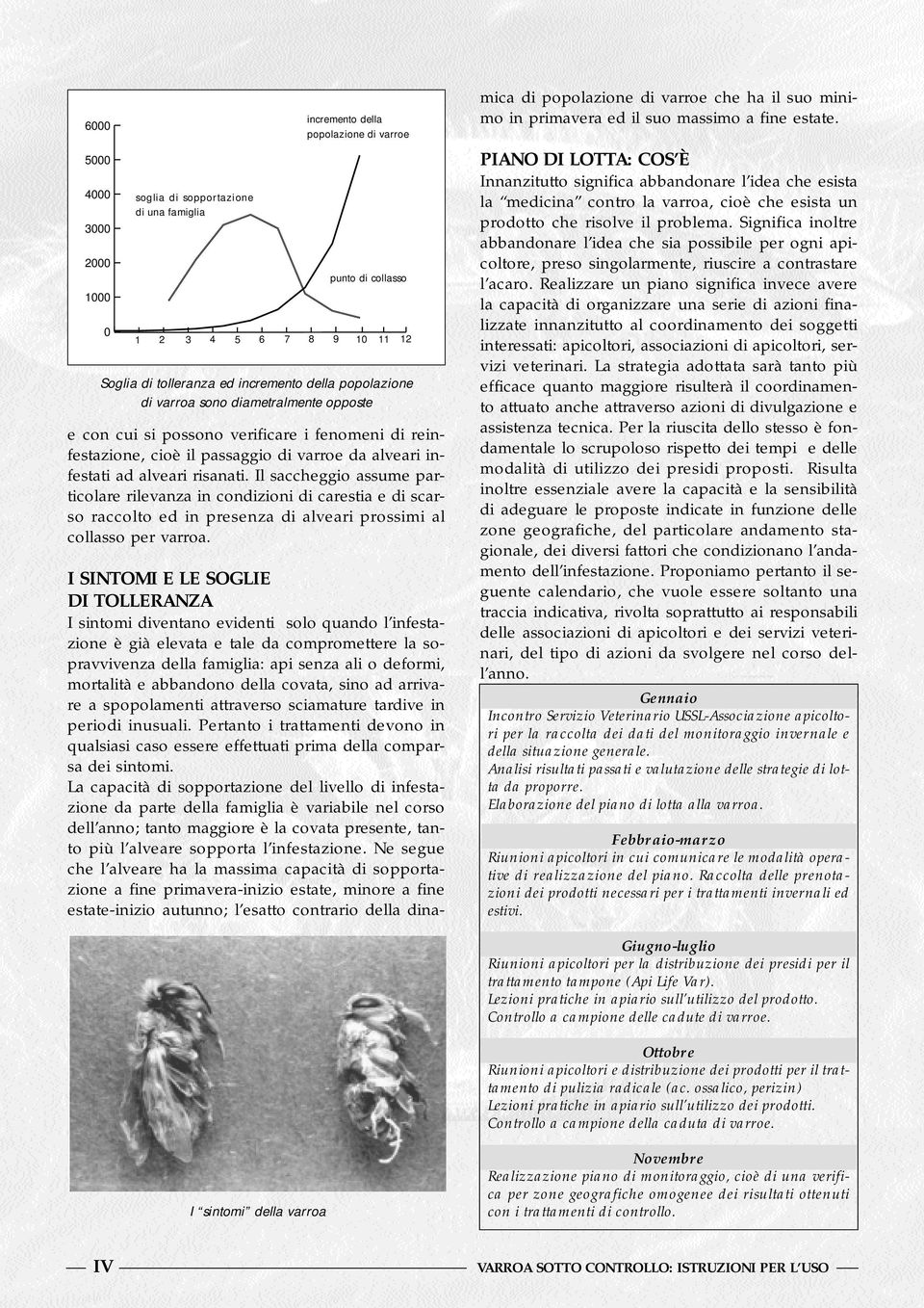 Il saccheggio assume particolare rilevanza in condizioni di carestia e di scarso raccolto ed in presenza di alveari prossimi al collasso per varroa.