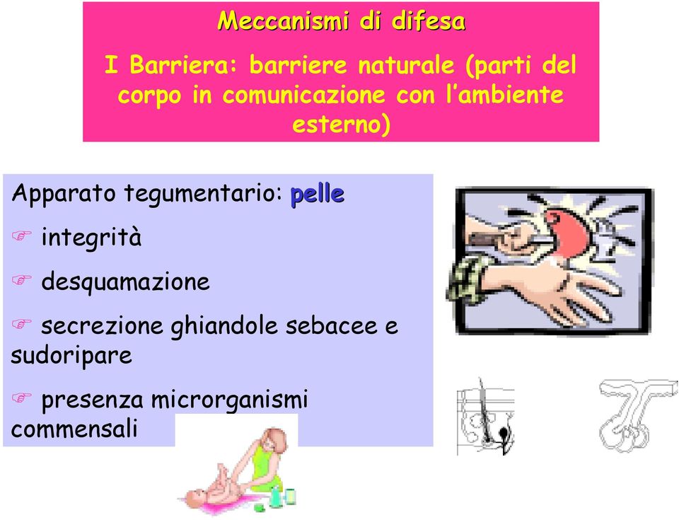 tegumentario: pelle integrità desquamazione secrezione