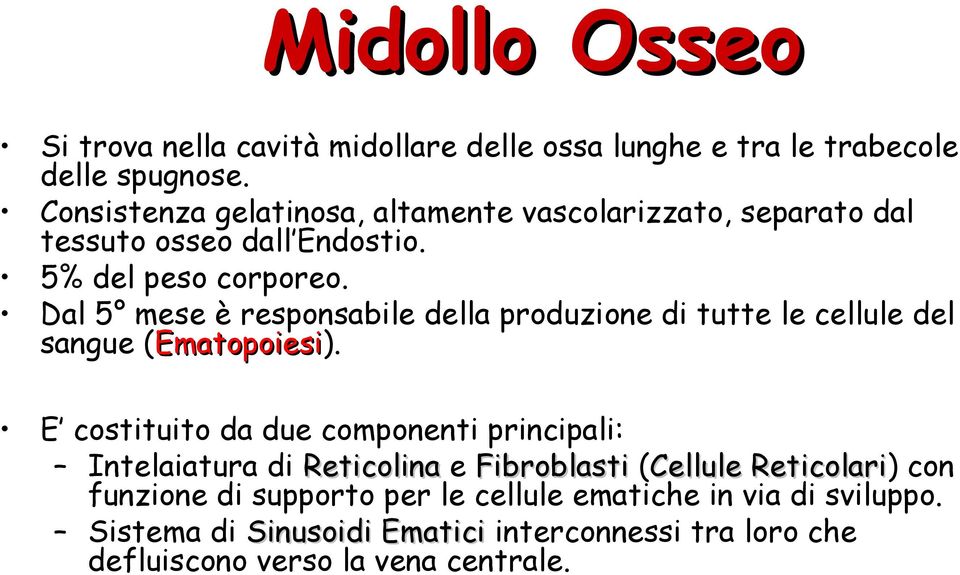 Dal 5 mese è responsabile della produzione di tutte le cellule del sangue (Ematopoiesi).