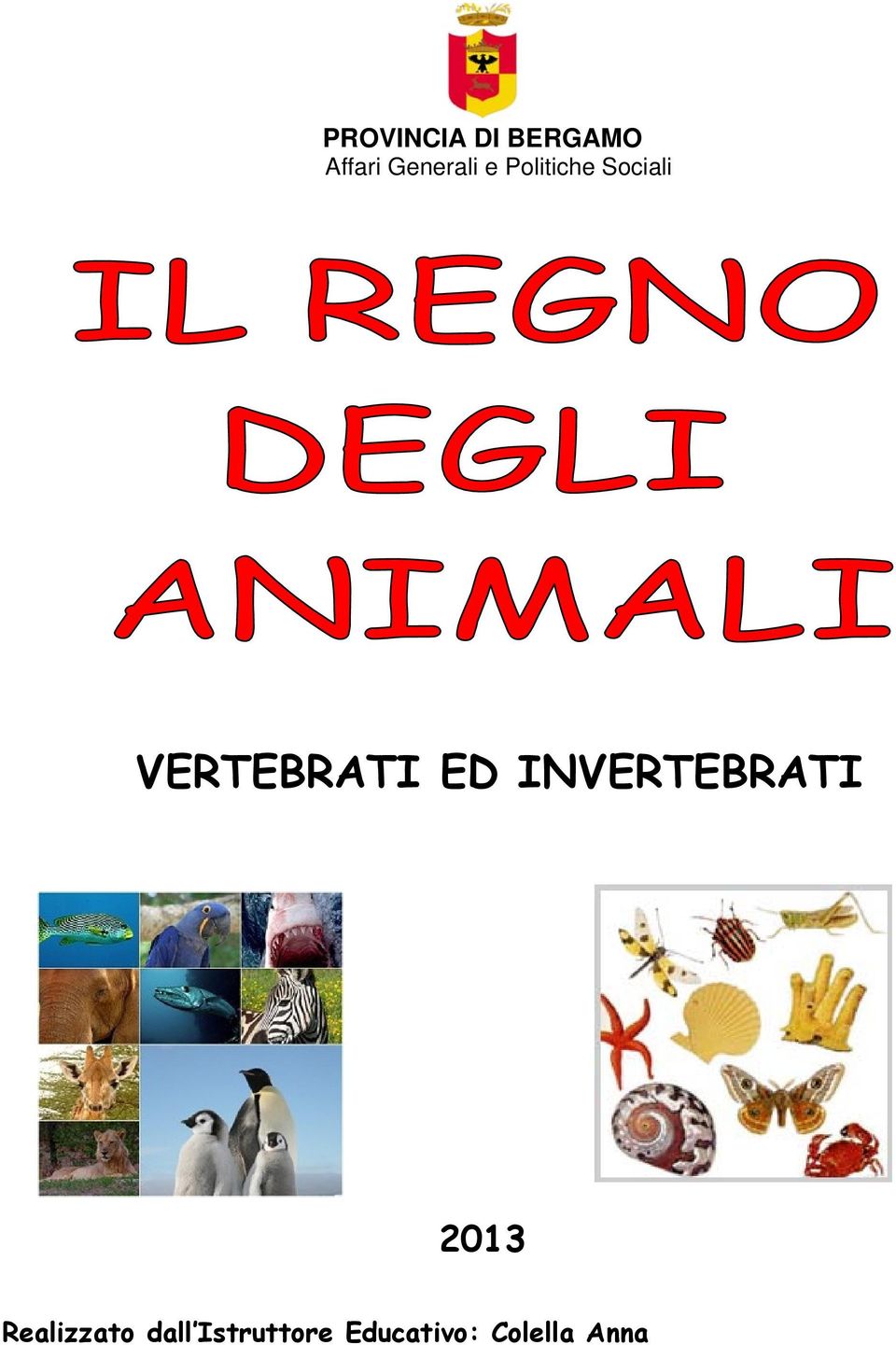 Provincia Di Bergamo Affari Generali E Politiche Sociali Vertebrati Ed Invertebrati Realizzato Dall Istruttore Educativo Colella Anna Pdf Free Download