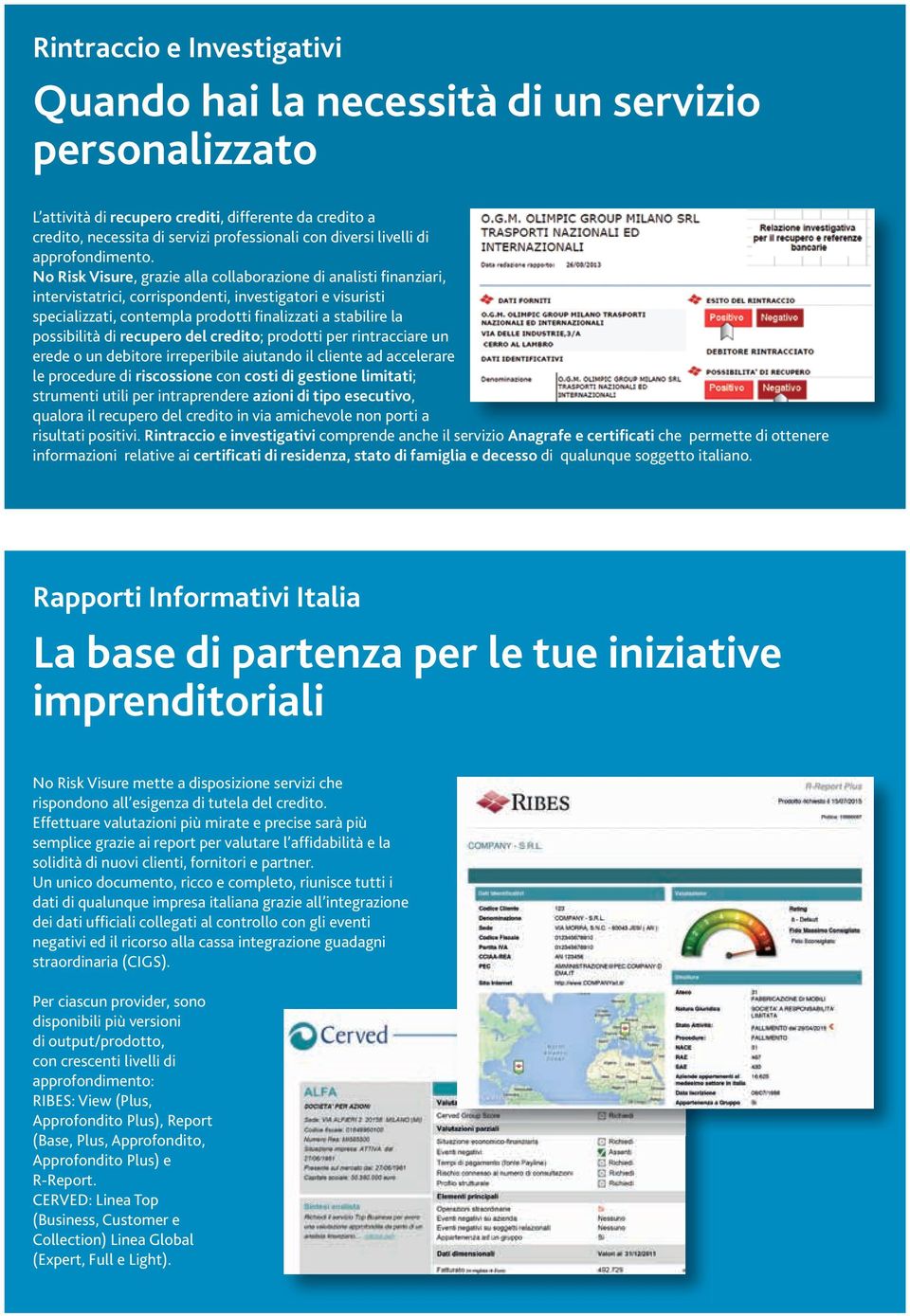 No Risk Visure, grazie alla collaborazione di analisti finanziari, intervistatrici, corrispondenti, investigatori e visuristi specializzati, contempla prodotti finalizzati a stabilire la possibilità