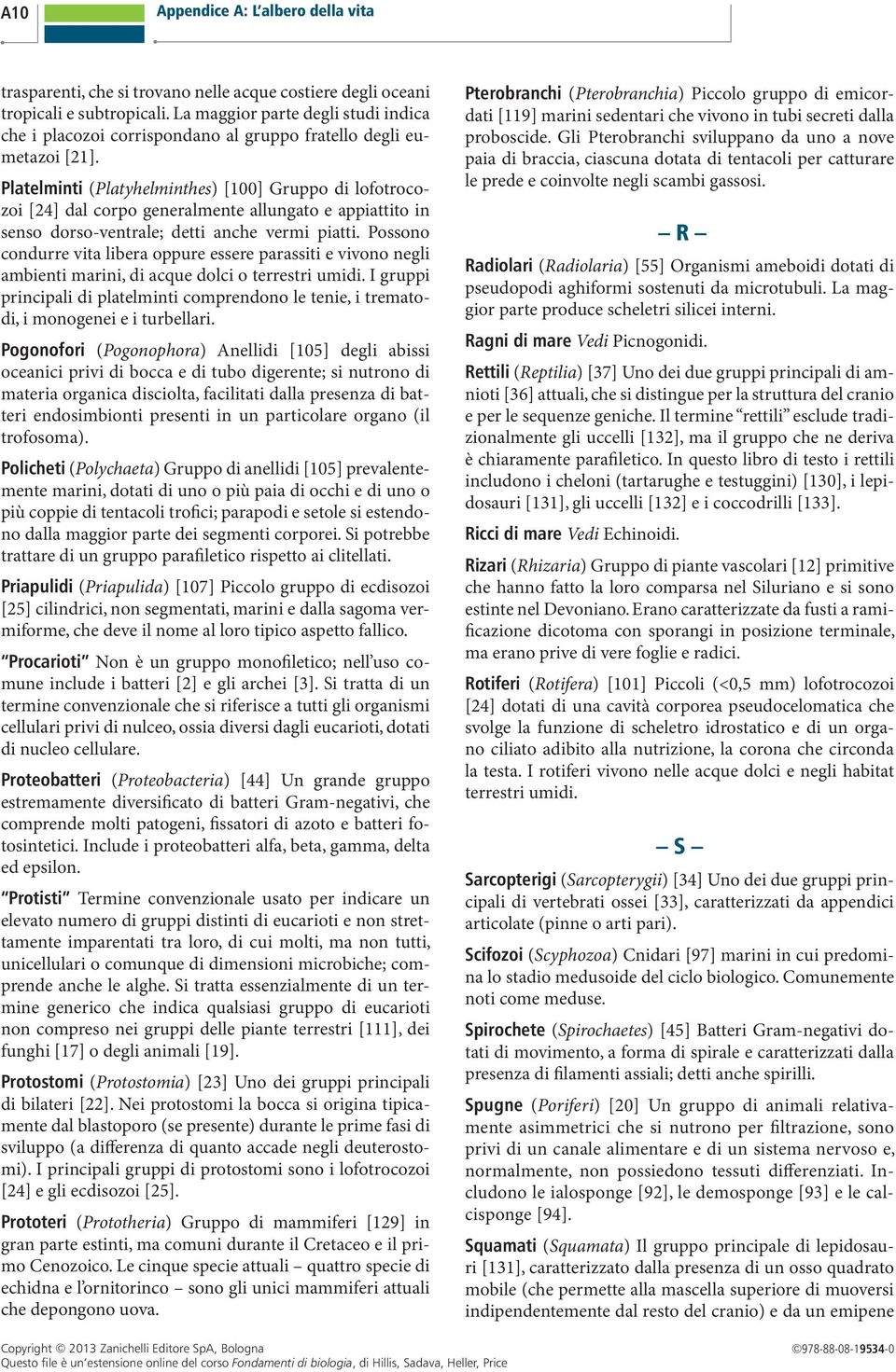 Platelminti (Platyhelminthes) [100] Gruppo di lofotrocozoi [24] dal corpo generalmente allungato e appiattito in senso dorso-ventrale; detti anche vermi piatti.