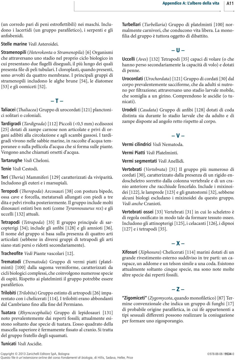 tubulari. I cloroplasti, quando presenti, sono avvolti da quattro membrane. I principali gruppi di stramenopili includono le alghe brune [54], le diatomee [53] e gli oomiceti [52].