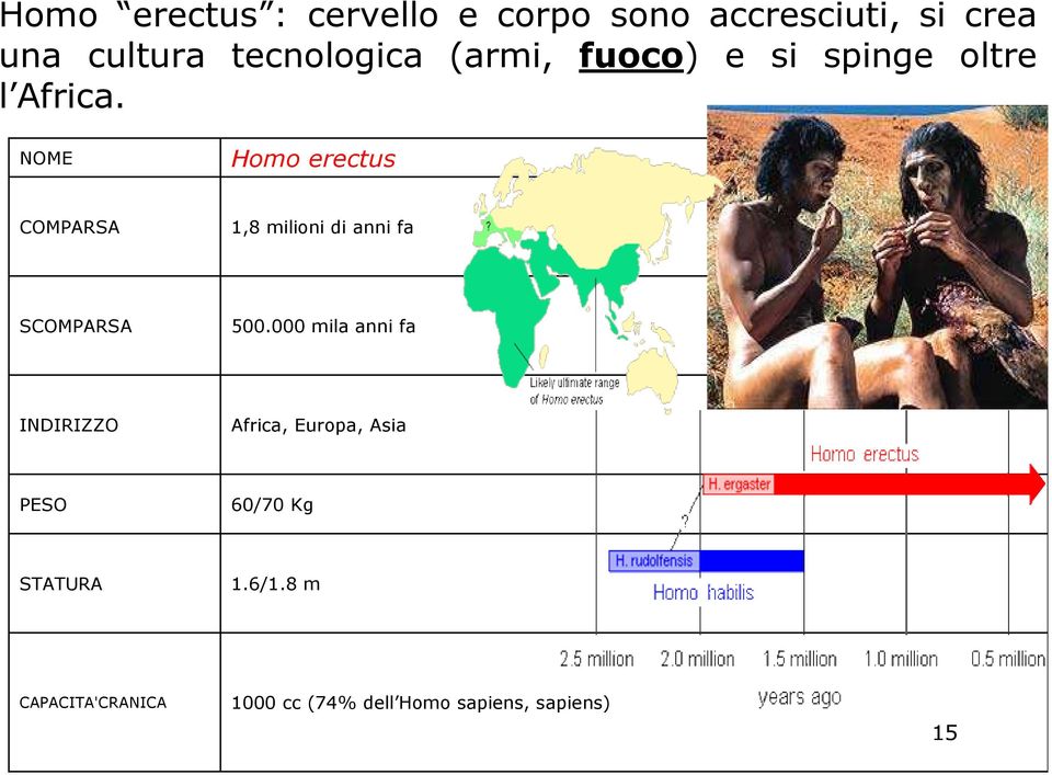 NOME Homo erectus COMPARSA 1,8 milioni di anni fa SCOMPARSA 500.