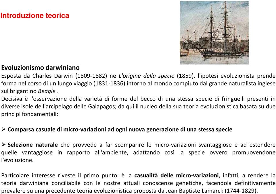 Decisiva è l'osservazione della varietà di forme del becco di una stessa specie di fringuelli presenti in diverse isole dell'arcipelago delle Galapagos; da qui il nucleo della sua teoria