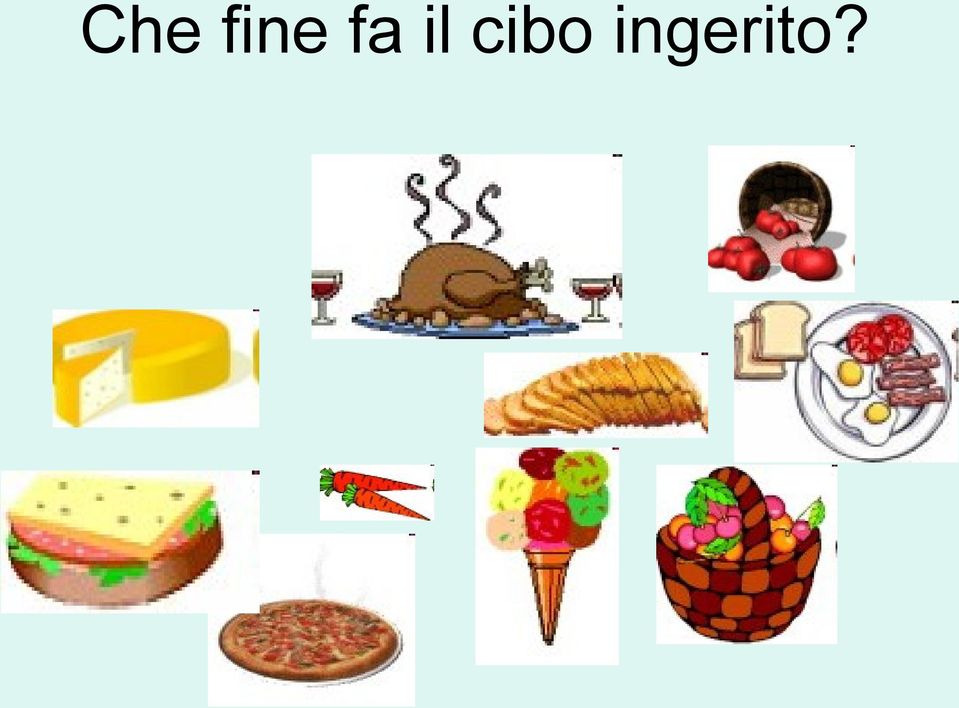 cibo