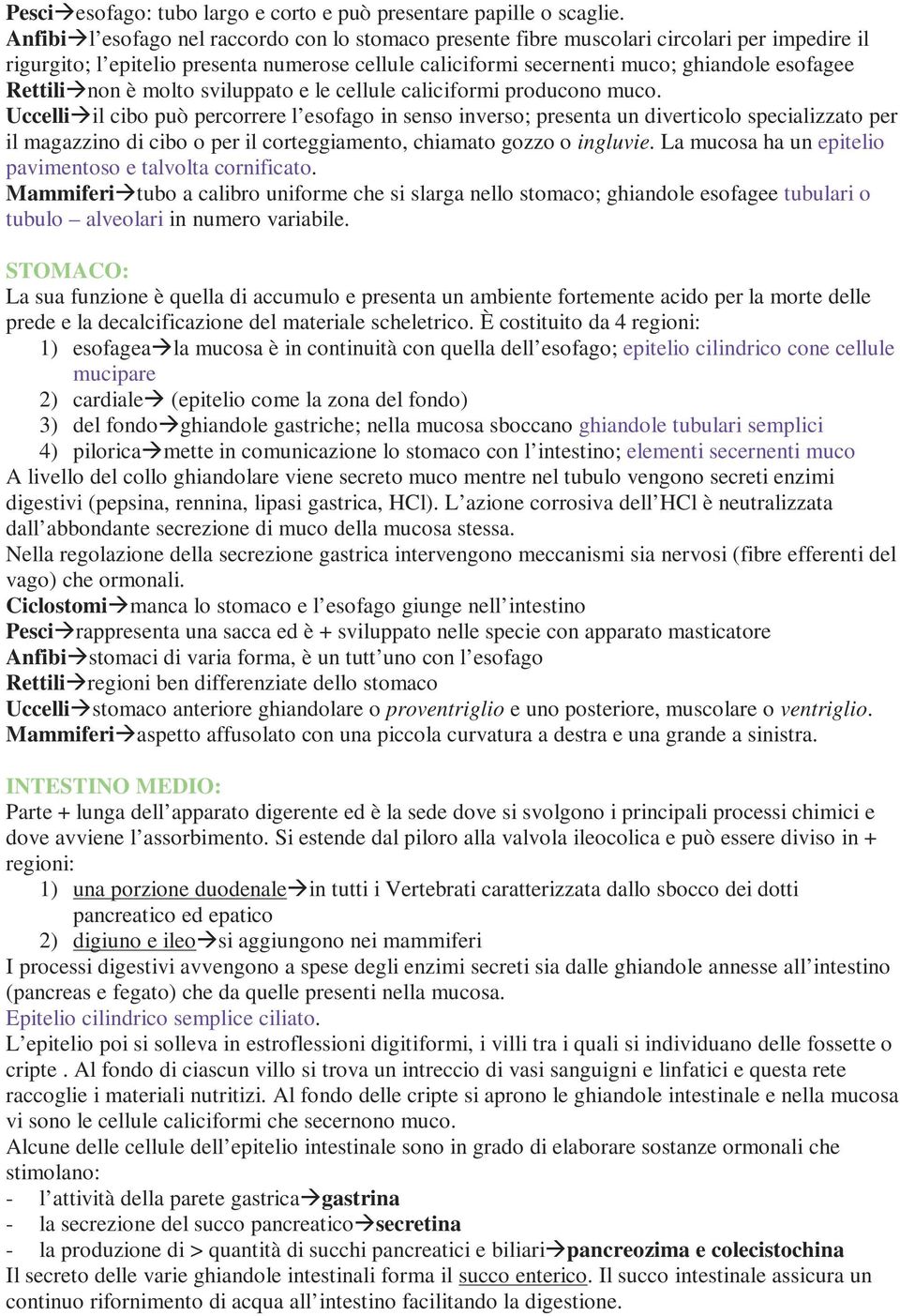 non è molto sviluppato e le cellule caliciformi producono muco.