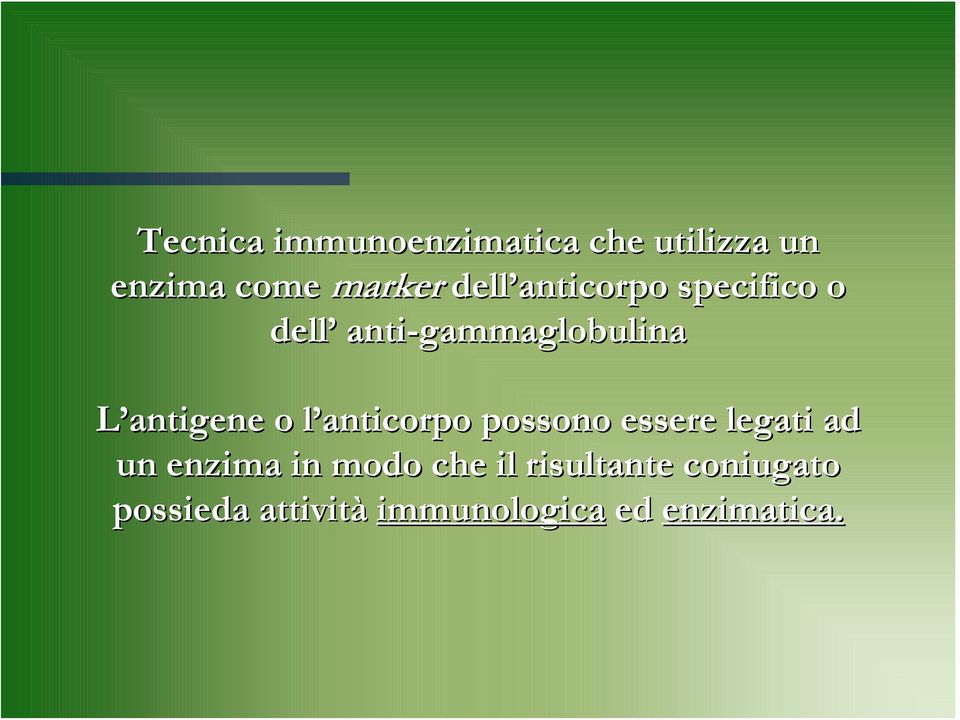 o l anticorpo l possono essere legati ad un enzima in modo che