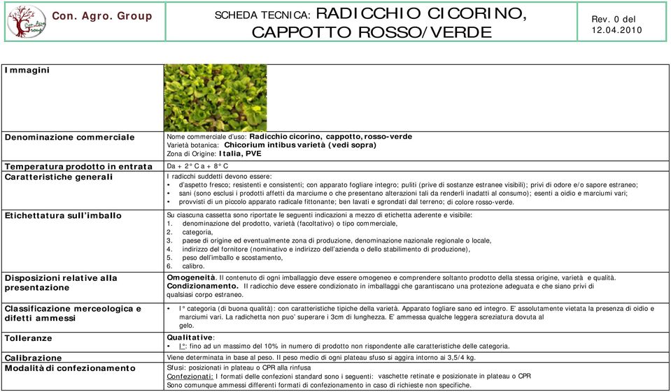 botanica: Chicorium intibus varietà (vedi sopra) Zona di Origine: Italia, PVE Da + 2 C a + 8 C I radicchi suddetti devono essere: d aspetto fresco; resistenti e consistenti; con apparato fogliare